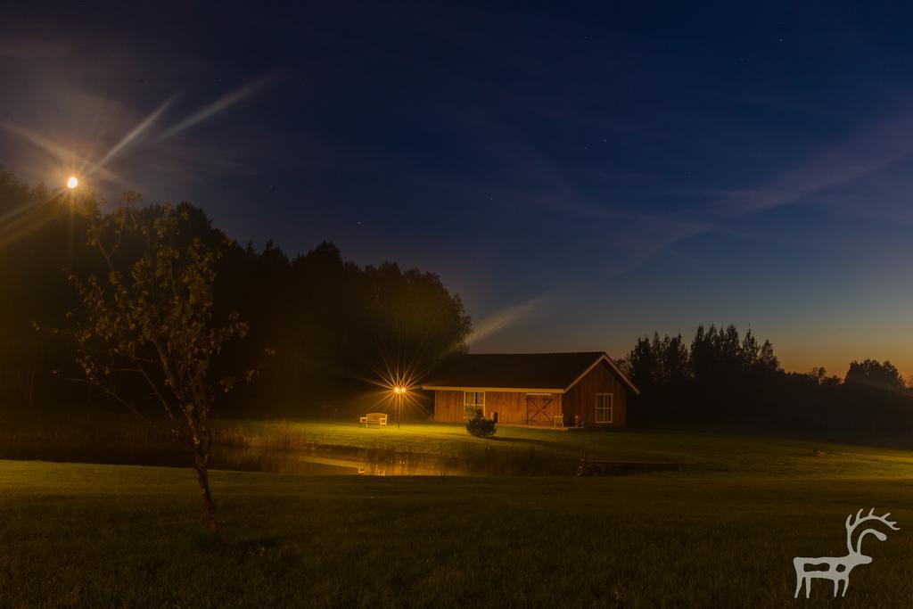 Viesu Majas Briedisi Villa Raiskums Exterior foto