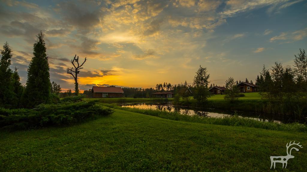 Viesu Majas Briedisi Villa Raiskums Exterior foto
