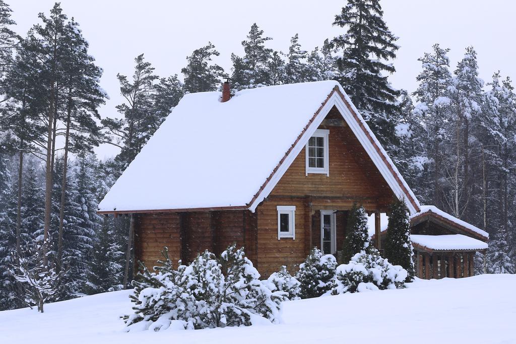 Viesu Majas Briedisi Villa Raiskums Cameră foto